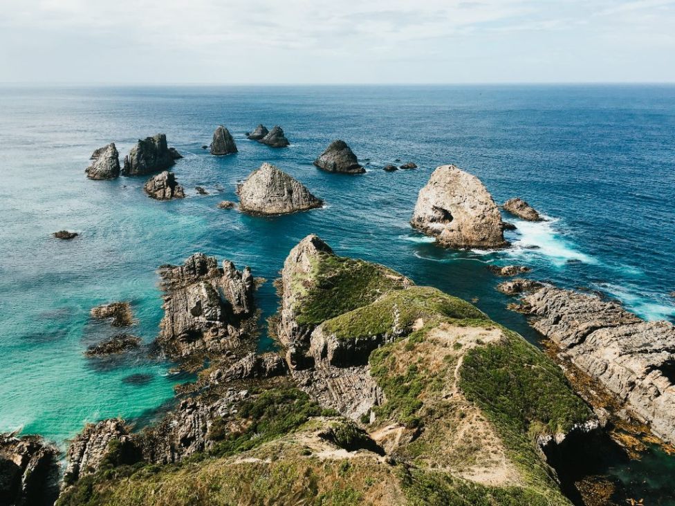 Wild Catlins coast