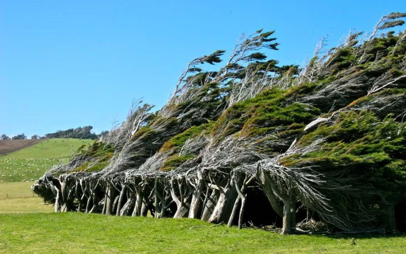 Slope Point